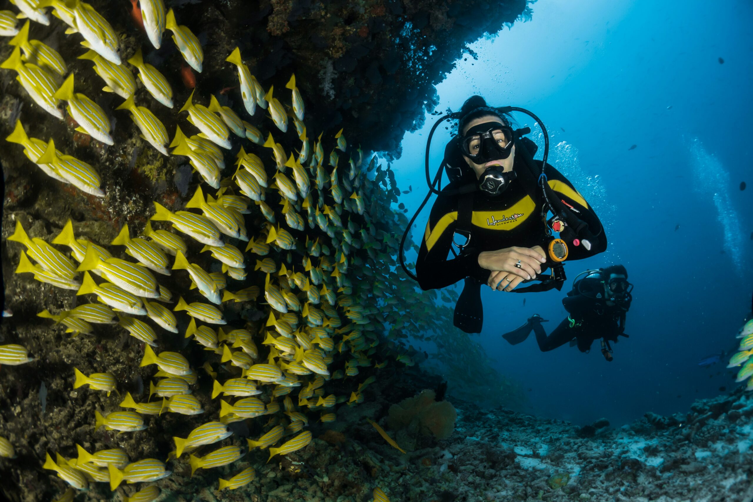 Buceo